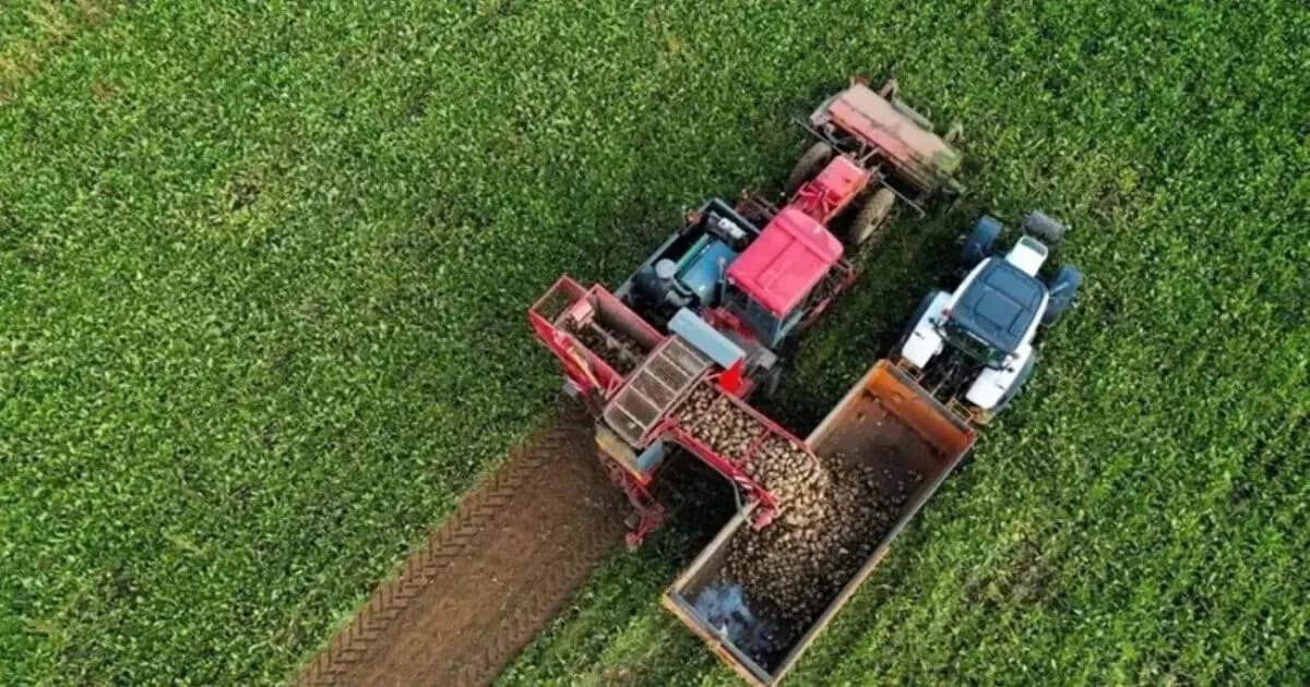 Ανοίγει το πρόγραμμα Αγροδιατροφή με 150 εκατ. ευρώ