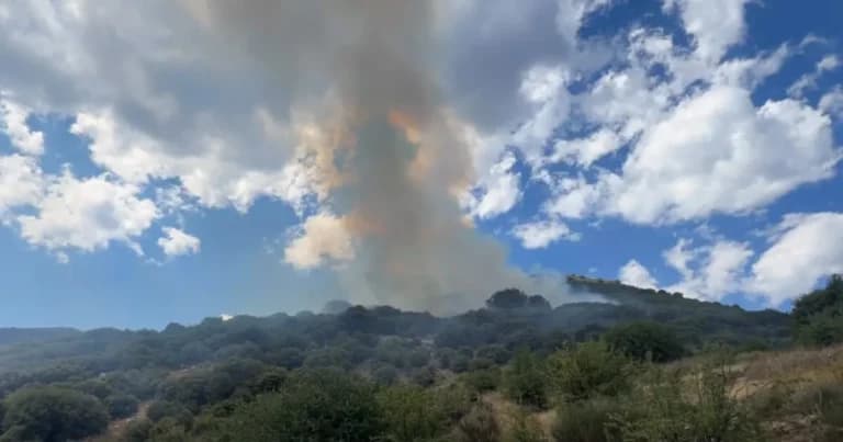 Φωτιά στη Λαμπεία Ηλείας: Επιχείρηση με 77 πυροσβέστες