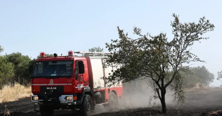 Φωτιά στη Νάξο: Μάχη με τις φλόγες στη Μικρή Βίγλα
