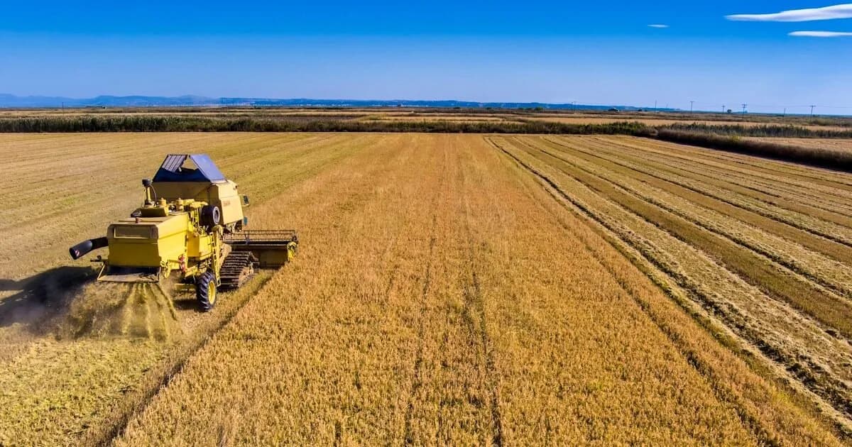 Η ΑΑΔΕ καταβάλλει 22 εκατ. ευρώ ενισχύσεις σε παραγωγούς