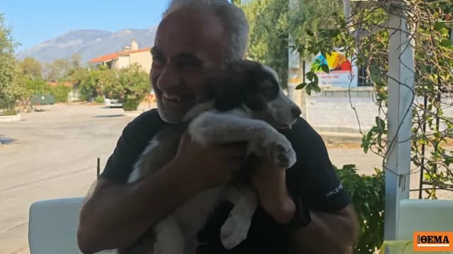 Η φωτιά στο Πόρτο Γερμενό: Σώθηκε ο σκύλος Μπρούνο