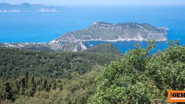 Η χαλέπιος πεύκη στη Σίβηρη μπορεί να αναγεννηθεί φυσικά