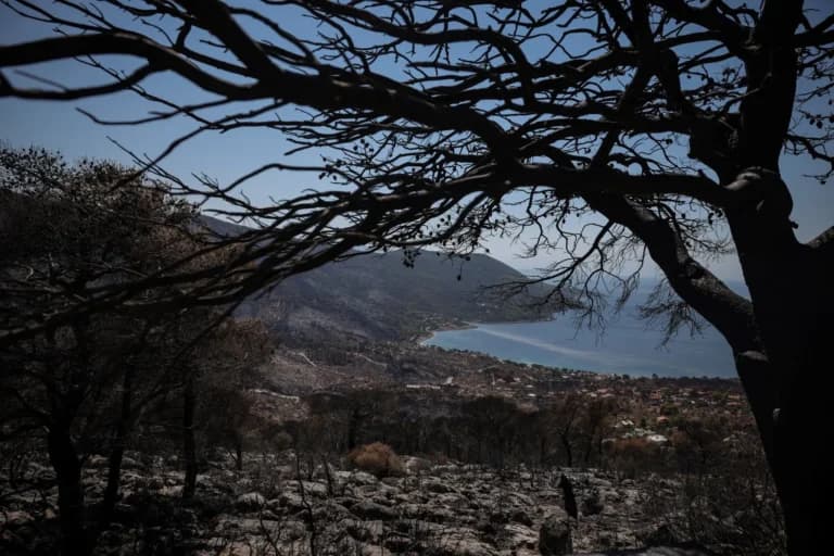 Η φωτιά στο Πόρτο Γερμενό αύξησε τη θερμοκρασία εδάφους