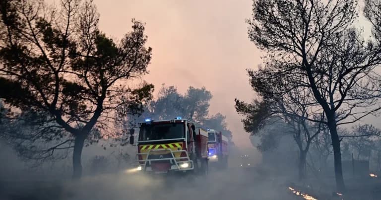 Ο Δήμαρχος Στυλίδας συνελήφθη για τη φωτιά στη Βοιωτία