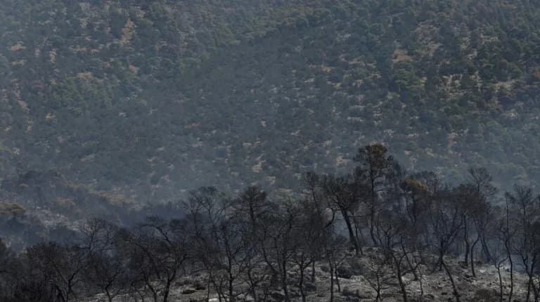 Ο δήμαρχος και δύο ακόμη προσωρινά κρατούμενοι για τη φωτιά