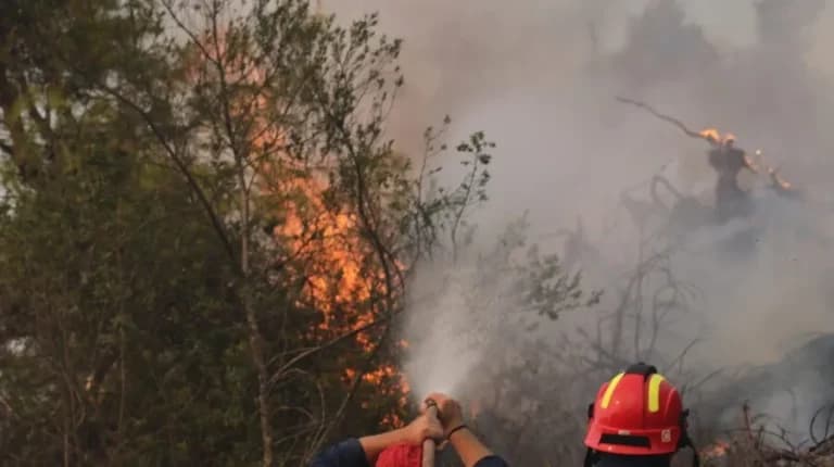 Φωτιά στο Παλαιοχώρι Χαλκιδικής: Κινητοποίηση 41 πυροσβεστών