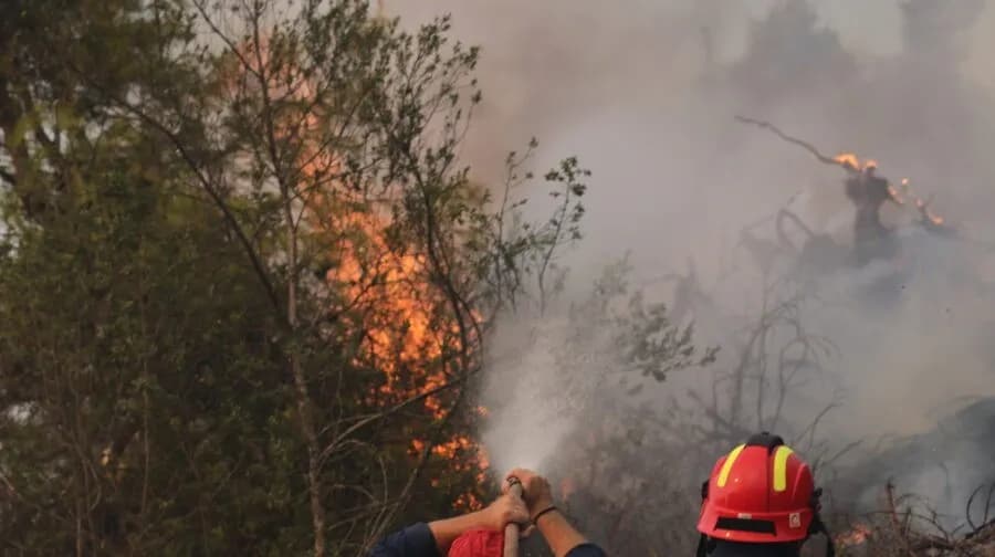 Φωτιά στο Παλαιοχώρι Χαλκιδικής: Κινητοποίηση 41 πυροσβεστών