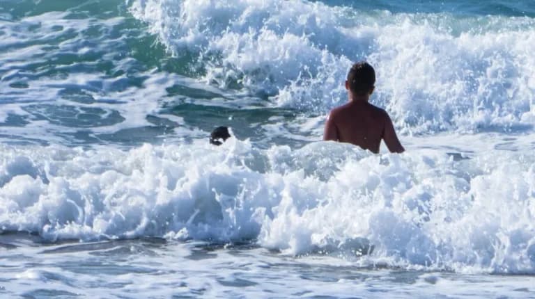 Η Ελλάδα σε επιφυλακή για φωτιές λόγω ανέμων και ζέστης