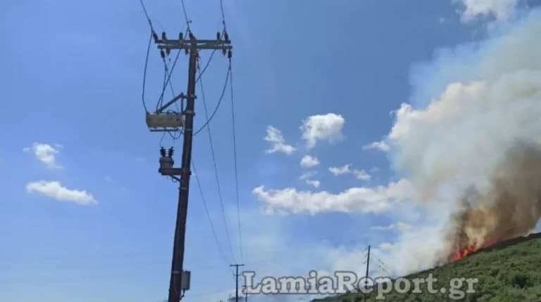 Πυρκαγιά μαίνεται στην Καμηλόβρυση κοντά στη Λαμία