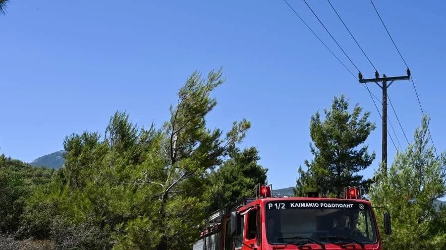 Πυρκαγιά στην Τουρτούγια Λάρισας: Επιχείρηση κατάσβεσης