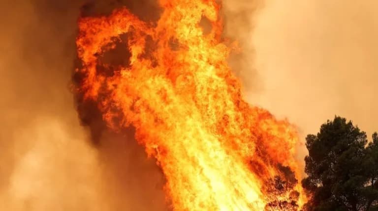Σύλληψη δημάρχου για τη φονική φωτιά στη Βοιωτία
