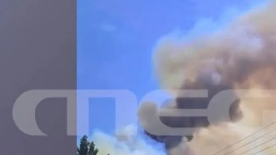Χαλκιδική: Πεσμένο δέντρο σε κολόνα του ΔΕΔΔΗΕ πίσω από τη φωτιά