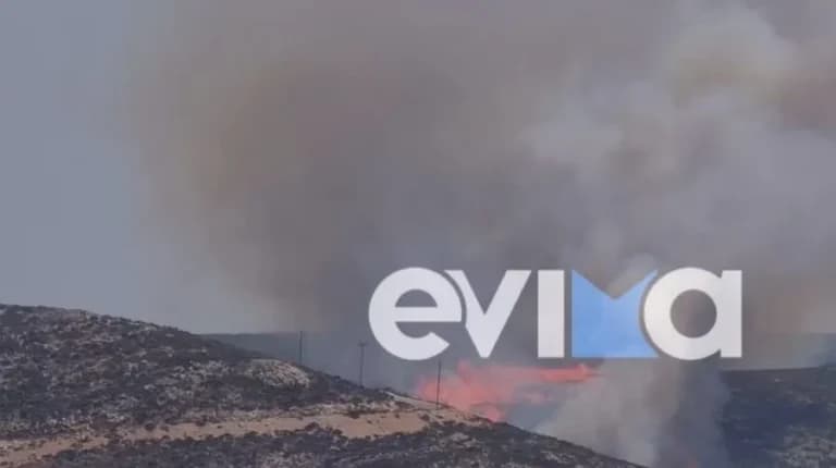 Πύρινος εφιάλτης στη Σκύρο κοντά στην παραλία Κολυμπάδα