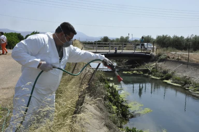 Ο ιός Δυτικού Νείλου «χτυπά» την Ελλάδα με 110 κρούσματα