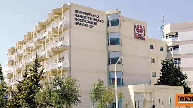 Ο σκύλος δάγκωσε 12χρονο στο Ηράκλειο, συνελήφθη 28χρονη