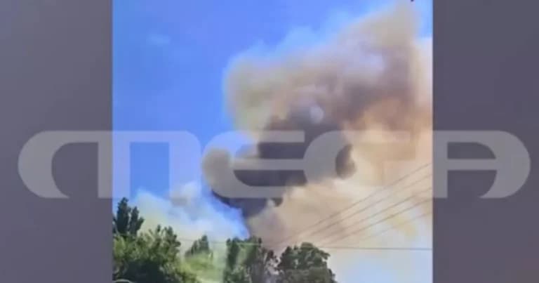 Η φωτιά στη Σίβηρη Χαλκιδικής: Δικογραφία για τον ΔΕΔΔΗΕ