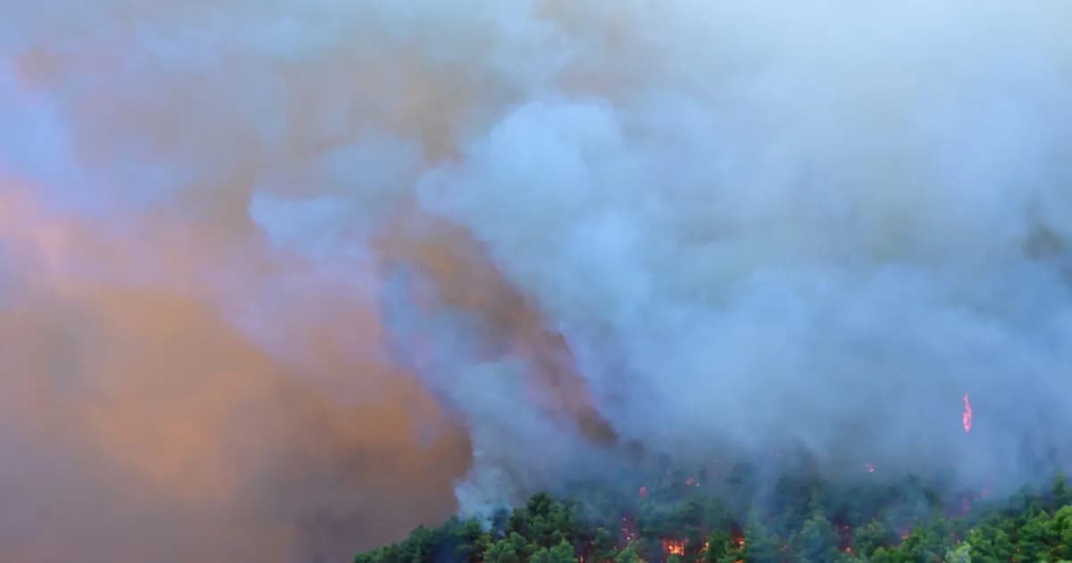 Ρεκόρ ανέμων: Το ισχυρότερο μελτέμι 15ετίας χτύπησε την Ελλάδα