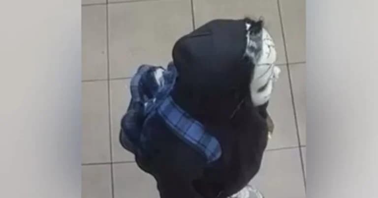 Άνδρας με μάσκα «Τσάκι» τρομοκρατεί τη Φιλαδέλφεια