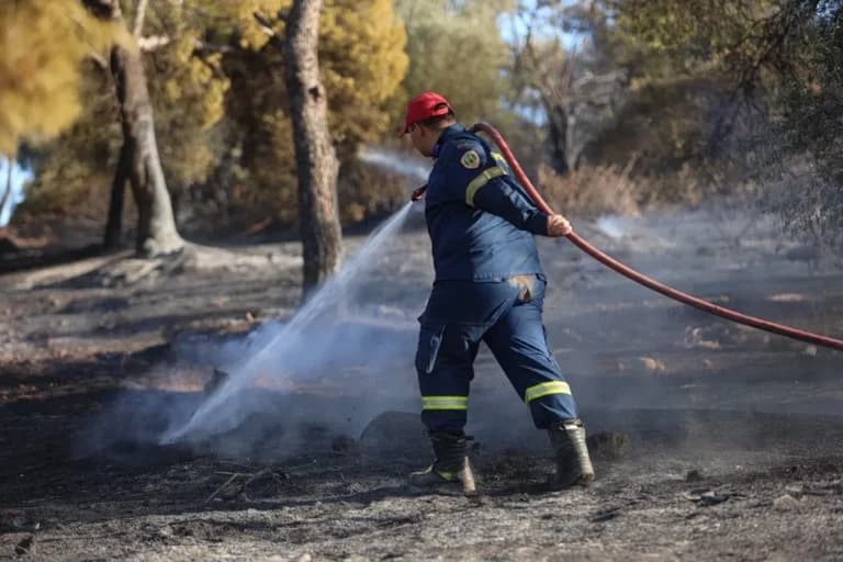 Πυρκαγιές σε Σκύρο και Ηλεία: Μάχη με τις φλόγες σήμερα
