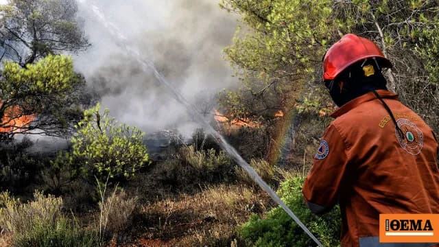 Φωτιά στον Γαλατά Αιτωλοακαρνανίας: Κινητοποιήθηκαν αεροσκάφη