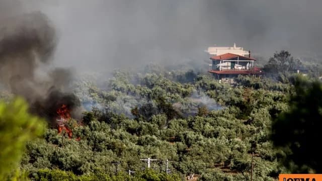 Φωτιά στη Λιβαδόστρα Βοιωτίας: Το 112 ζητά εκκένωση