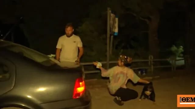 Η πυρκαγιά στο Πόρτο Γερμενό απειλεί σπίτια και ζώα