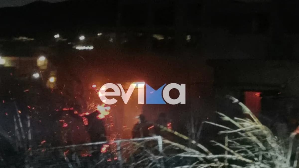 Δύο πυρκαγιές μαίνονται σε Αττική και Εύβοια