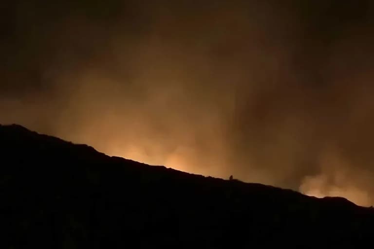 Η φωτιά στον Άγιο Βλάσιο Βοιωτίας μαίνεται όλη τη νύχτα