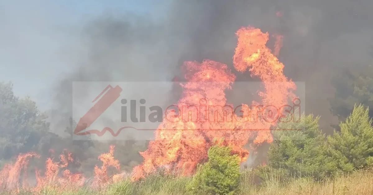 Φωτιά στα Διάσελλα Ηλείας: Μήνυμα του 112 σε κατοίκους