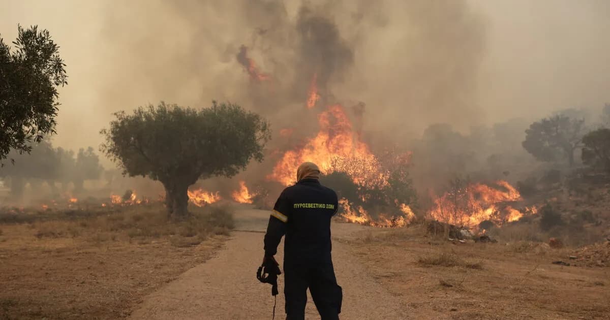 Μεγάλη φωτιά στα Μέγαρα: Κινητοποίηση της Πυροσβεστικής