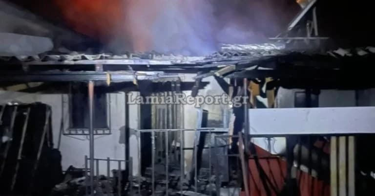 Η τραγωδία με φωτιά στη Φθιώτιδα: Νεκρή 32χρονη και ο σκύλος της