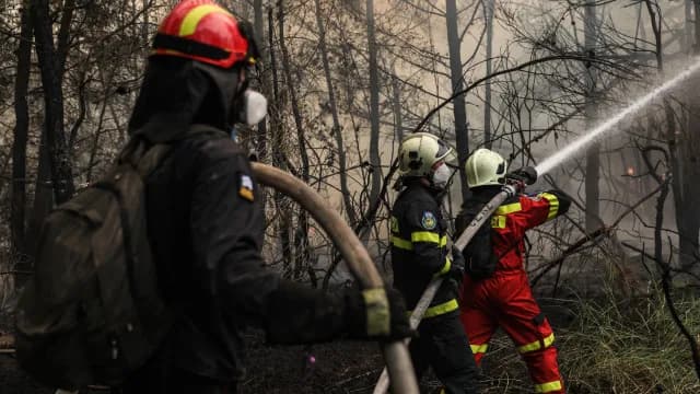 Χωρίς ενεργό μέτωπο η φωτιά στη Μακρυκάπα Εύβοιας