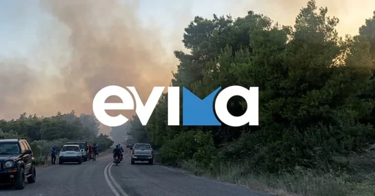 Η φωτιά στην Εύβοια σε ύφεση Ζημιές σε αγροκτήματα