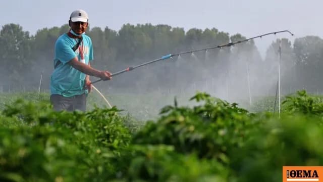 Η ΑΑΔΕ δίνει ενίσχυση λιπασμάτων 14,6 εκατ. σε αγρότες