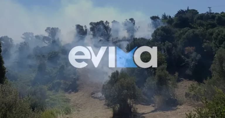 Οι Πυρκαγιές σε Εύβοια, Έβρο και Ηλεία: μεγάλη κινητοποίηση