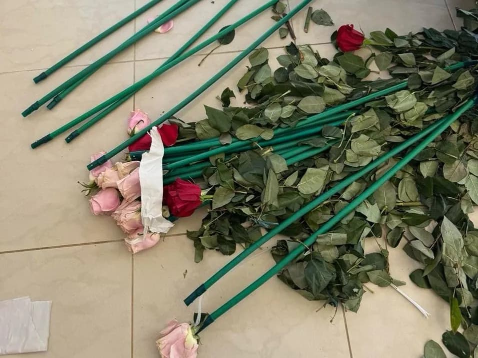 Η ΑΑΔΕ εντόπισε 84 κιλά κοκαΐνης σε τριαντάφυλλα στη Λούτσα