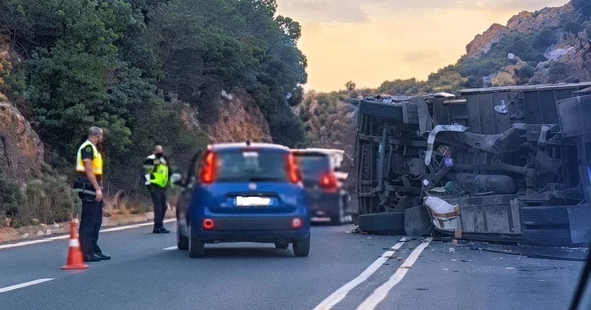 Ανατροπή νταλίκας με γουρούνια στον ΒΟΑΚ στις Σισές