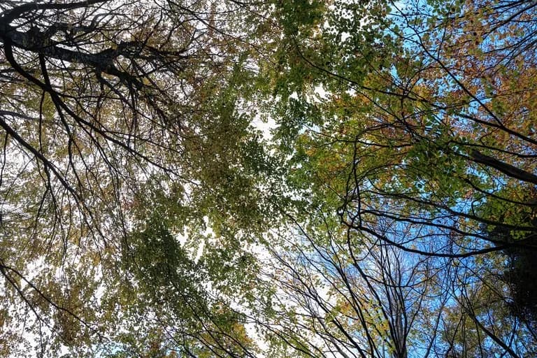 Ο καιρός σήμερα: Αίθριος με βοριάδες έως 7 μποφόρ στο Αιγαίο
