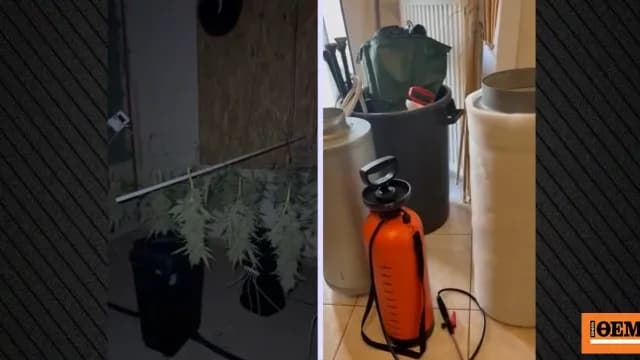 Εργαστήριο κάνναβης στα Άνω Λιόσια: Συνελήφθη 39χρονος