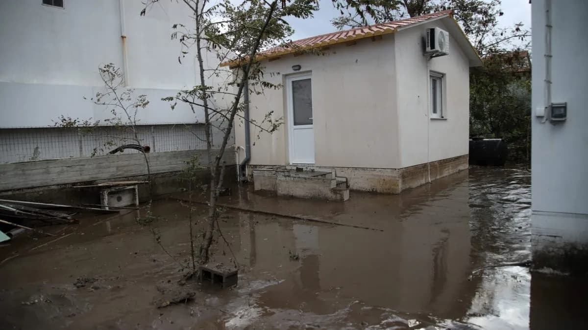 Πλημμύρες στην Εύβοια: Χάος στα Ψαχνά και τα Πολιτικά