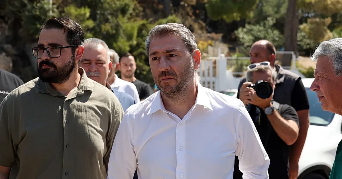 Ο Πλεύρης ίδρυσε σωματείο με τους γιατρούς του Μαζωνάκη