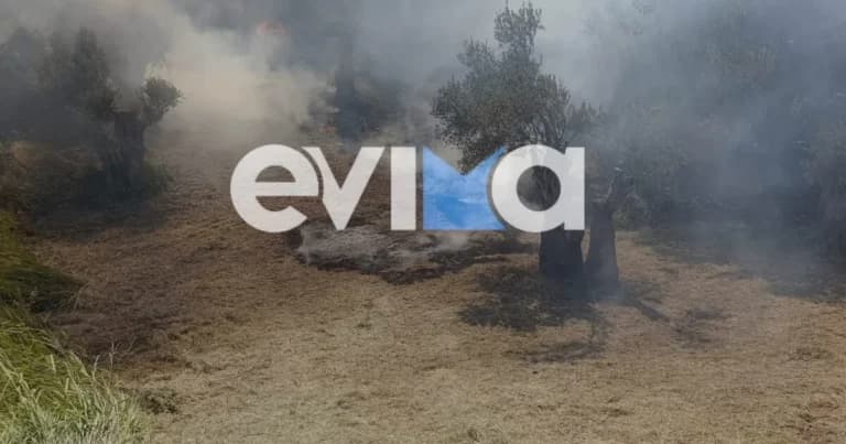 Ο 55χρονος συνελήφθη για τη φωτιά στην Κύμη Ευβοίας