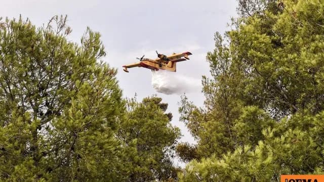 Η φωτιά στη Σκιλλουντία Ηλείας: 45 πυροσβέστες σε μάχη
