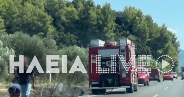 Η φωτιά στην Ηλεία μαίνεται, κινητοποίηση και στη Χαλκιδική