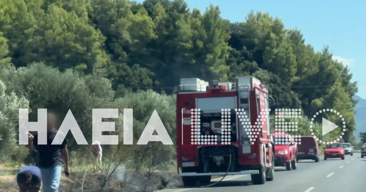 Η φωτιά στην Ηλεία μαίνεται, κινητοποίηση και στη Χαλκιδική