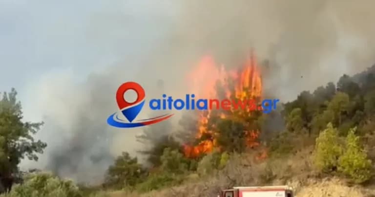 Φωτιά στο Μεσολόγγι: Σηκώθηκαν 5 αεροσκάφη για την κατάσβεση