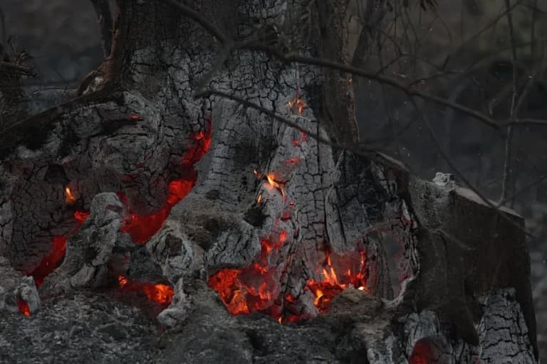 Χωρίς ενεργό μέτωπο οι φωτιές σε Καλάβρυτα και Ηλεία