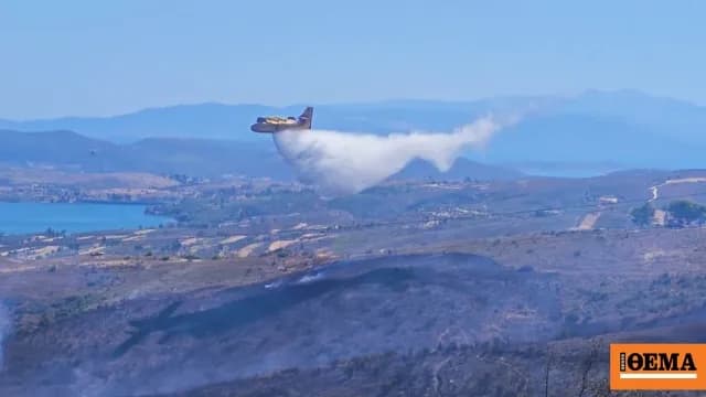 Η πυρκαγιά στη Δροσοπηγή Αφιδνών τέθηκε υπό έλεγχο