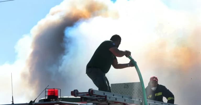 Φωτιά στη Χαλκιδική: Μεγάλη κινητοποίηση πυροσβεστών