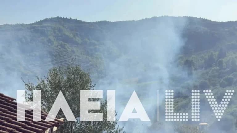 Η Ηλεία στις φλόγες: Πύρινος εφιάλτης στο Χειμαδιό